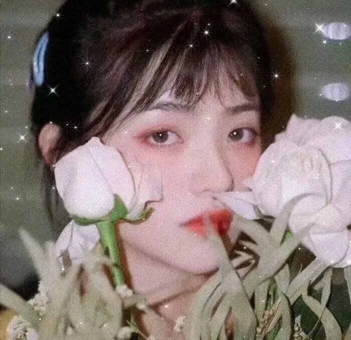 安居